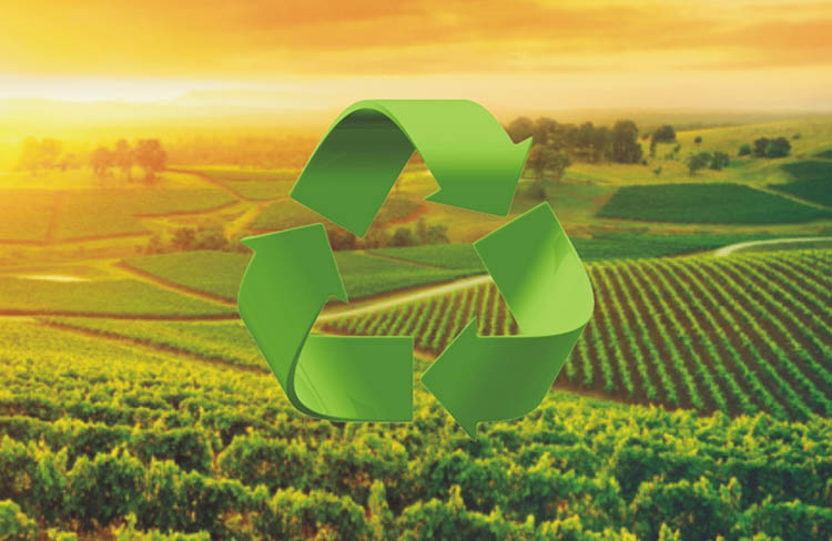 Agricultura circular, el futuro sostenible del sector