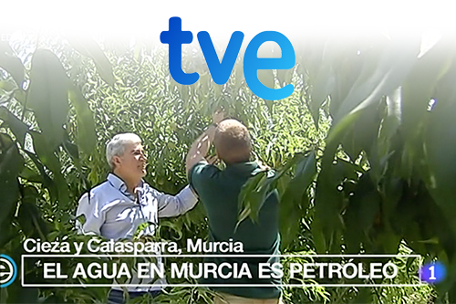 España Directo | Uso eficiente del agua para la agricultura en la Región de Murcia