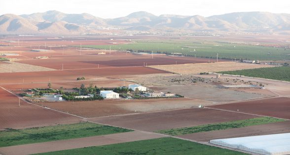 La primera Cátedra de Agricultura Sostenible de España, junto al Mar Menor